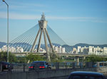 IMGP3393.jpg