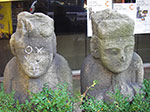 IMGP3442.jpg
