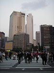 IMGP3462.jpg