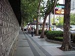 IMGP3463.jpg