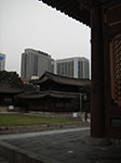 IMGP3485.jpg
