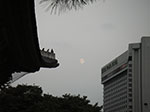 IMGP3488.jpg