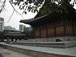 IMGP3497.jpg