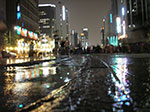 IMGP3543.jpg