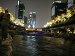 IMGP3616.jpg