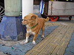 IMGP3634.jpg