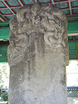IMGP3648.jpg