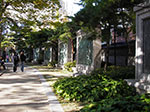 IMGP3653.jpg