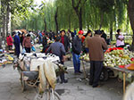 IMGP3827.jpg