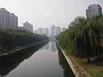IMGP3838.jpg