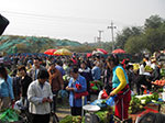 IMGP3845.jpg