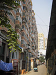 IMGP3846.jpg