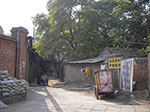 IMGP3853.jpg
