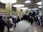 IMGP3862.jpg