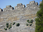 IMGP3911.jpg