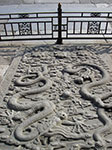 IMGP3956.jpg