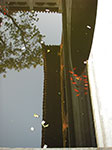 IMGP4038.jpg