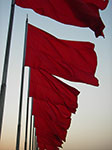 IMGP4103.jpg