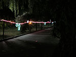 IMGP4136.jpg