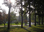 IMGP4156.jpg
