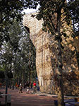 IMGP4182.jpg