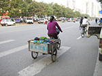 IMGP4231.jpg