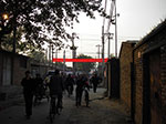 IMGP4239.jpg