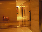 IMGP4294.jpg