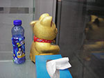 IMGP4295.jpg