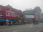 IMGP4313.jpg