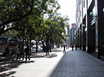 IMGP4361.jpg