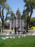 IMGP4372.jpg