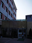IMGP4384.jpg
