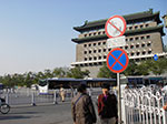 IMGP4408.jpg