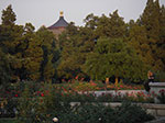 IMGP4433.jpg