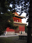 IMGP4443.jpg