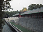 IMGP4463.jpg