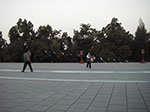 IMGP4469.jpg
