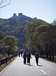 IMGP4509.jpg