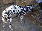 IMGP4738.jpg