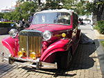 IMGP4875.jpg