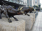 IMGP4882.jpg