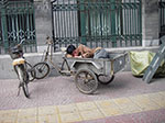 IMGP4884.jpg
