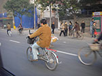 IMGP4965.jpg