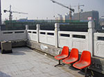 IMGP4987.jpg