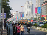 IMGP5017.jpg