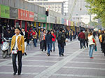 IMGP5022.jpg