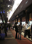 IMGP5075.jpg