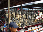 IMGP5262.jpg