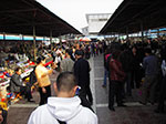 IMGP5263.jpg